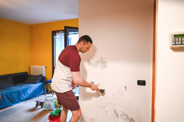 Best Attic Mold Remediation in Roman Forest, TX
